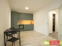 Pronájem bytu 1+kk, Praha - Strašnice, Štěchovická, 45 m2