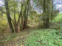Prodej pozemku, Svijany, 1003 m2