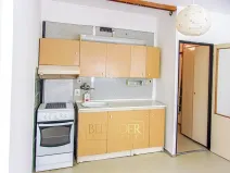 Prodej bytu 1+1, Ústí nad Labem, Družstevní, 37 m2