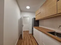 Pronájem bytu 1+1, Praha - Bubeneč, U zeměpisného ústavu, 37 m2