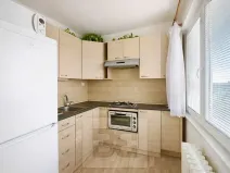 Pronájem bytu 1+1, Ostrava, Ježkova, 30 m2