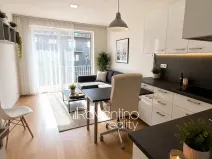 Pronájem bytu 1+kk, Brno, Studentská, 25 m2