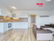 Pronájem bytu 1+kk, Plasy, U Václava, 38 m2