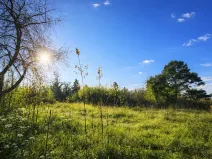 Prodej pozemku, Praha, 594 m2