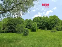 Prodej pozemku pro bydlení, Božanov, 2148 m2