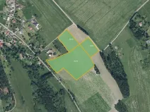 Prodej louky, Jílové u Držkova, 7808 m2