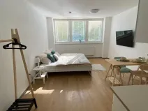 Pronájem bytu 1+kk, Třeboň, Nádražní, 35 m2