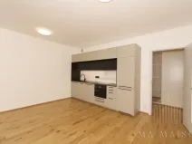 Pronájem bytu 2+kk, Praha - Nusle, Závišova, 42 m2