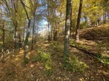 Prodej pole, Železný Brod - Střevelná, 2828 m2