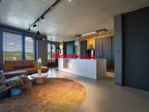 Prodej bytu 3+kk, Ostrava, F. X. Riepla, 137 m2