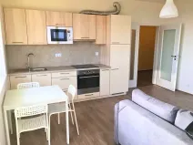 Pronájem bytu 2+kk, Horoměřice, T. G. Masaryka, 53 m2