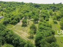 Prodej pole, Židlochovice, 3851 m2