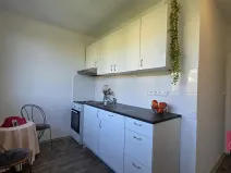 Prodej bytu 2+1, Brno, Souběžná, 55 m2