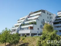 Prodej bytu 1+kk, Brno, Tomečkova, 46 m2