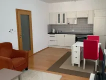 Pronájem bytu 1+kk, Praha - Žižkov, Baranova, 40 m2
