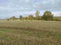 Prodej pozemku, Nová Ves u Mladé Vožice, 2376 m2