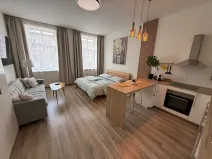 Pronájem bytu 1+kk, Brno, Francouzská, 40 m2