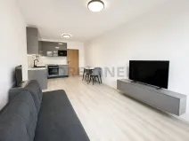 Pronájem bytu 1+kk, Brno, Dornych, 32 m2