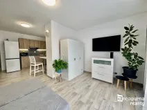 Pronájem bytu 1+kk, Moravské Bránice, 35 m2