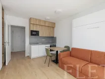 Pronájem bytu 1+kk, Praha - Chodov, Nebřenická, 33 m2