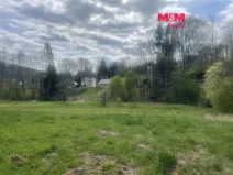 Prodej louky, Zlatá Olešnice, 3984 m2