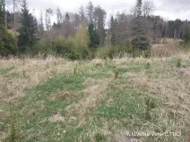 Prodej lesa, Lukavec, 1810 m2
