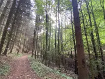 Prodej louky, Strážná, 2049 m2