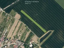 Prodej pole, Boršice, 2636 m2
