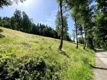 Prodej louky, Jablonec nad Jizerou, 15826 m2
