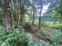 Prodej pozemku, Křečovice - Nahoruby, 3382 m2