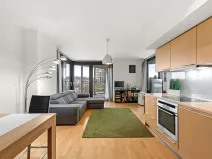 Prodej bytu 2+kk, Praha - Žižkov, Pitterova, 52 m2