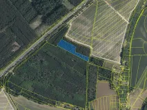 Prodej podílu lesa, Skorkov, 2180 m2