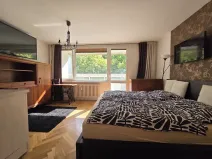 Prodej bytu 1+kk, Brno, Ukrajinská, 31 m2