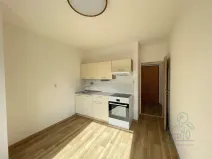 Pronájem bytu 1+1, Příbram, Čechovská, 46 m2