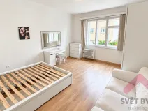 Pronájem bytu 1+kk, Praha - Michle, Brtnická, 30 m2