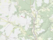 Dražba lesa, Bělá nad Svitavou, 284 m2