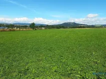Prodej louky, Police nad Metují, 8790 m2