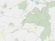 Dražba lesa, Jaroměřice nad Rokytnou, 579 m2