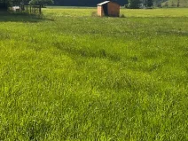 Prodej pozemku pro bydlení, Dobrá, 1288 m2