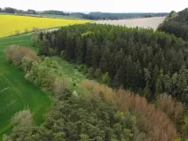 Dražba louky, Křenov, 16180 m2