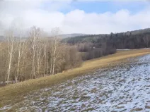 Dražba louky, Kájov, 10344 m2