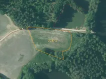 Dražba louky, Stráž nad Nežárkou, 6528 m2
