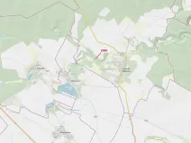 Dražba lesa, Hluboké Mašůvky, 504 m2