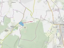 Dražba lesa, Chrudim, 59928 m2