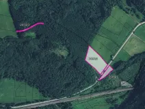 Prodej louky, Tatenice, 8036 m2