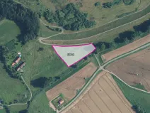 Prodej pole, Rychnov na Moravě, 8098 m2