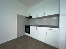Pronájem bytu 1+kk, Ústí nad Labem, Pod Parkem, 19 m2
