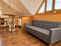 Pronájem bytu 1+kk, Brno, Kohoutova, 50 m2