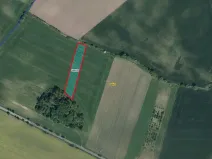 Prodej pole, Dašice, 5921 m2
