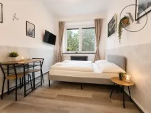 Prodej bytu 1+kk, Benešov nad Černou, 17 m2
